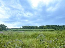 , Екатеринбург