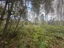 Участки, Верхняя Пышма