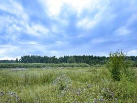 , Екатеринбург