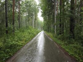 Участки, Верхняя Пышма